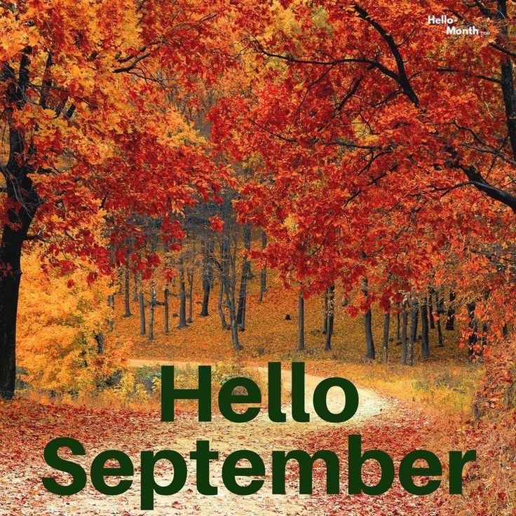 an autumn scene with the words hello september