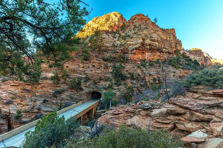 a tunnel in the side of a mountain surrounded by trees