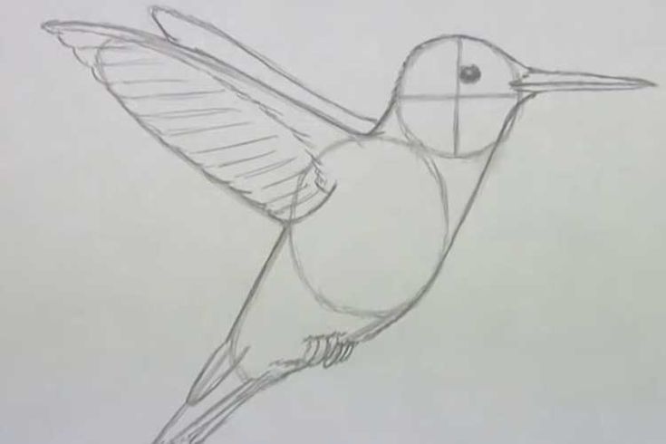 a drawing of a hummingbird flying in the air