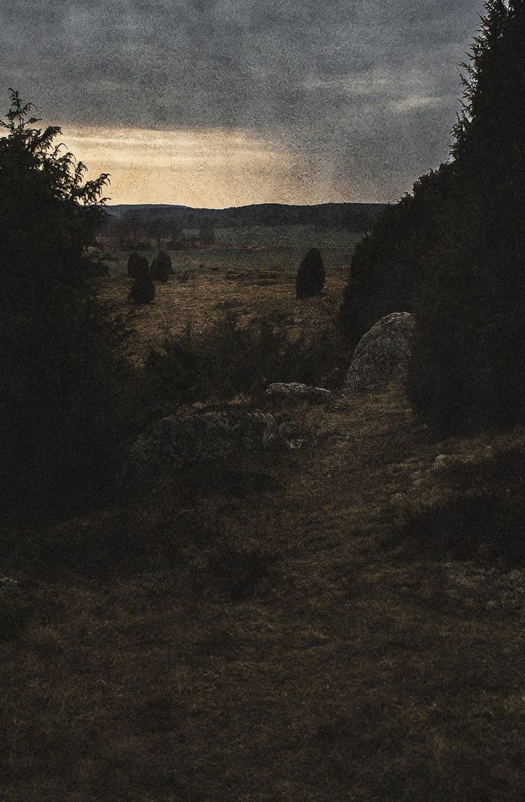 an empty field with trees and rocks in the foreground at sunset or dawn,