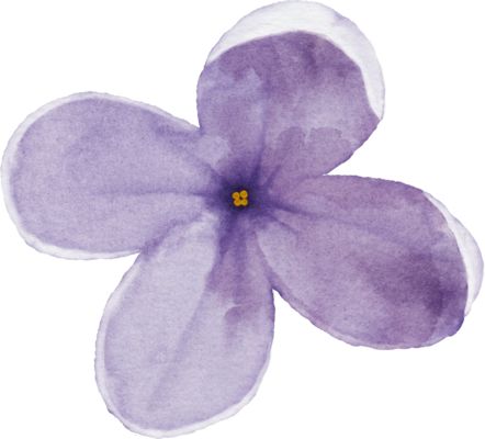 a watercolor painting of a purple flower on a white background with yellow stamen