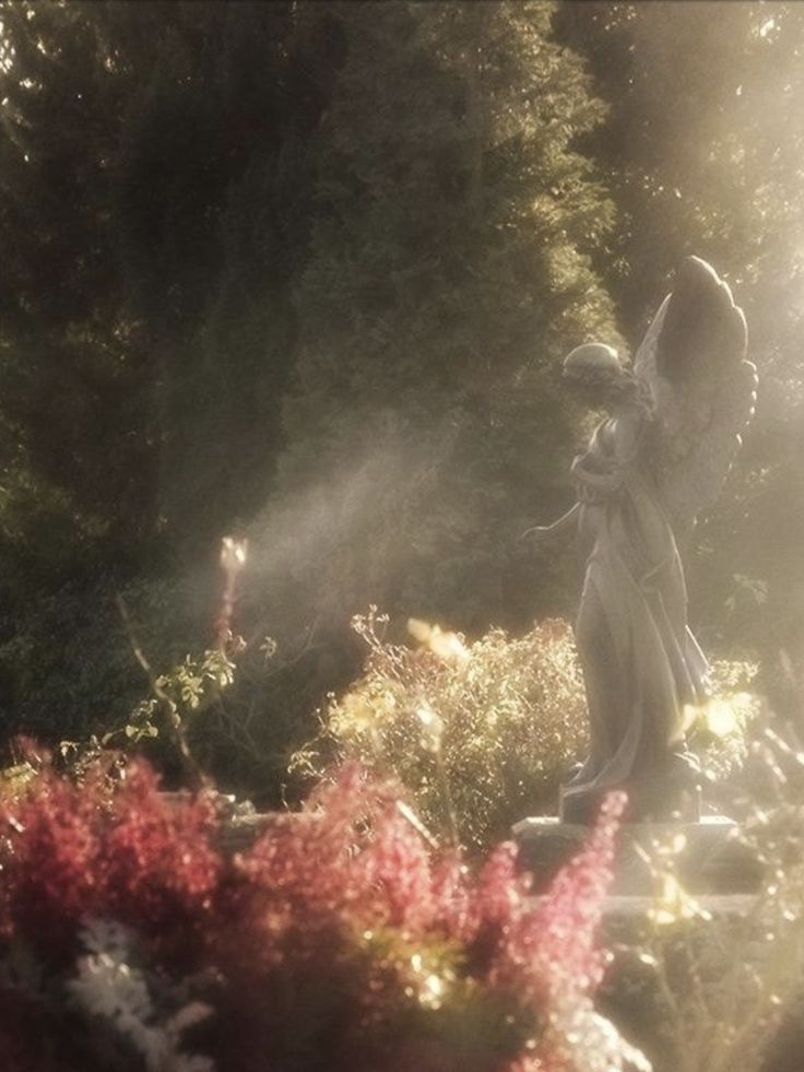 an angel statue in the middle of a garden with red and white flowers around it