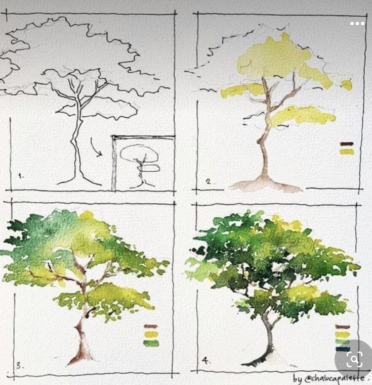 four different types of trees are shown in this drawing lesson for children to learn how to draw