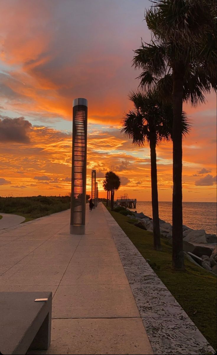 the sun is setting behind some palm trees on the side of the road by the water