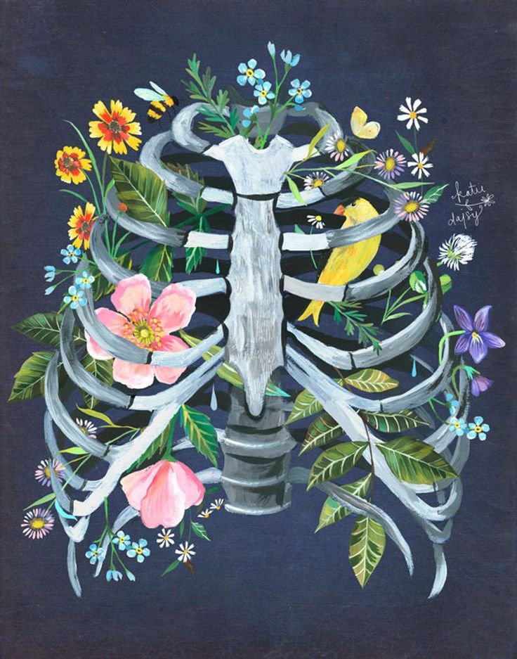 a drawing of a rib cage with flowers and birds around it on a black background