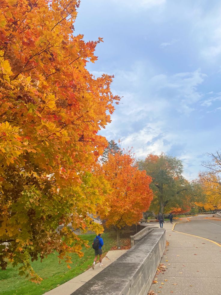 two people walking down the street in front of trees with orange and yellow leaves