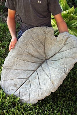 a man holding a large leaf shaped rock