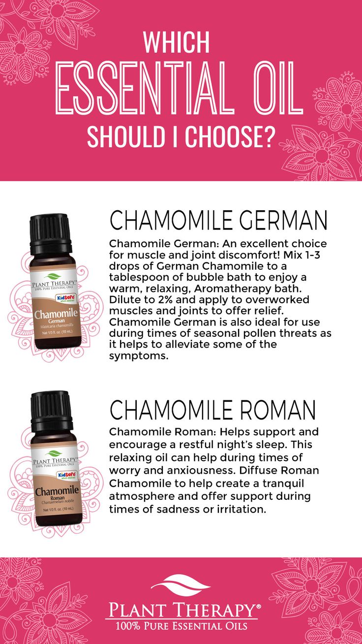 German Chamomile Essential Oil, Roman Chamomile Essential Oil, German Chamomile, Plant Therapy Essential Oils, Essential Oils For Pain, Essential Oil Plants, Chamomile Essential Oil, Roman Chamomile, Plant Therapy