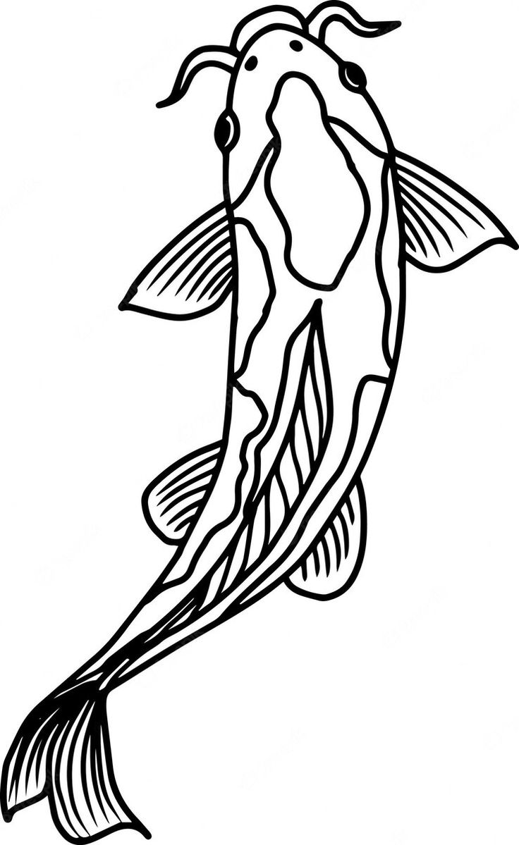 a black and white drawing of a fish