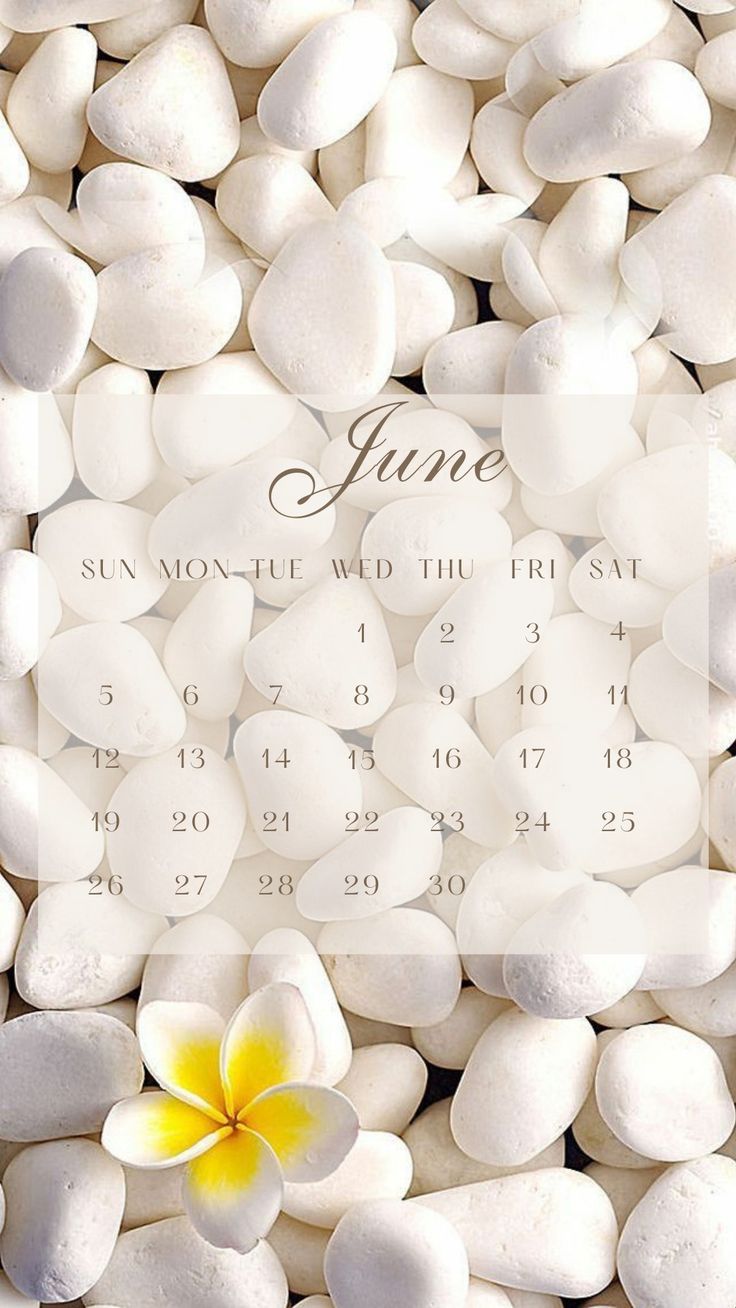 a calendar with white rocks and a yellow flower on it's front cover for june