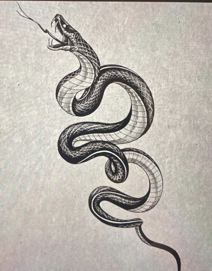 a black and white drawing of a snake