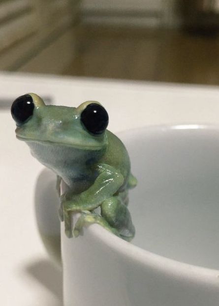 a green frog sitting on top of a white cup