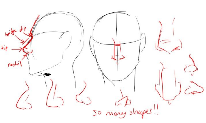 an image of how to draw head shapes