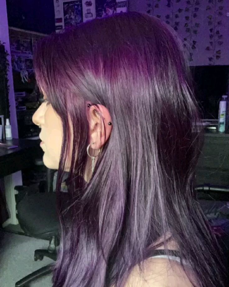 Arctic Fox Purple Af On Brown Hair, Very Dark Purple Hair, Unique Hair Dye Patterns, Purple On Brown Hair, Purple Dark Hair, Cute Ways To Dye Your Hair, Grape Purple Hair, Putple Hair, Purple Hair Dark