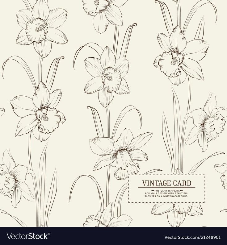 vintage floral card with daffodils and flowers