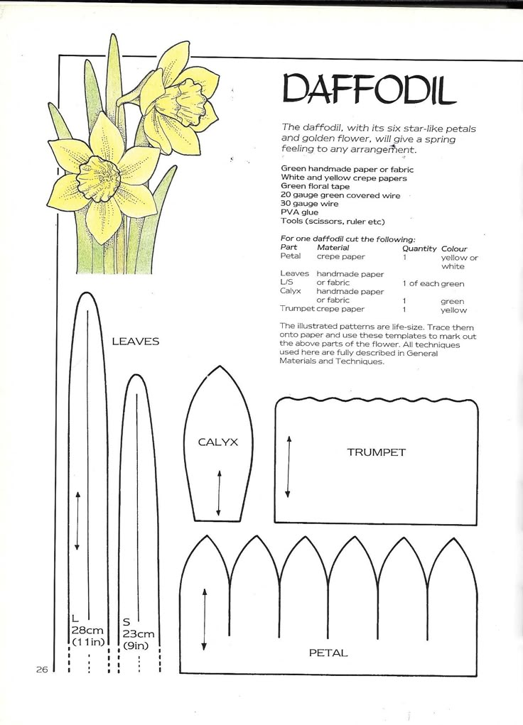 the instructions for daffodil flowers are shown in this paper doll's book