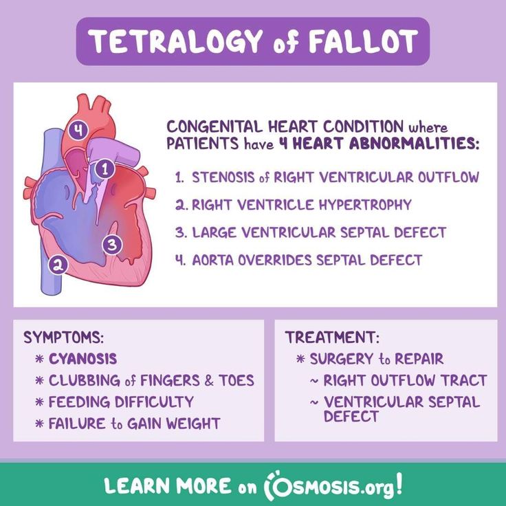 an info sheet with instructions on how to treat the heart