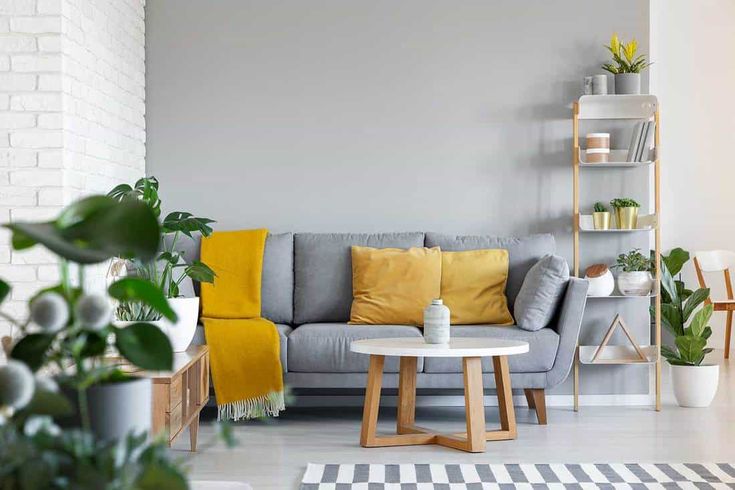 a living room filled with furniture and plants