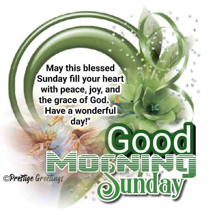 good morning sunday greeting card with green flowers and leaves on white background, text reads may this blessed sunday fill your heart with peace