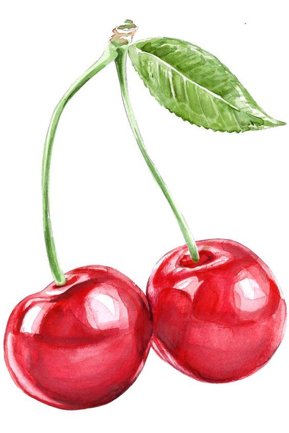 two cherries with one green leaf on the top and one red cherry on the bottom