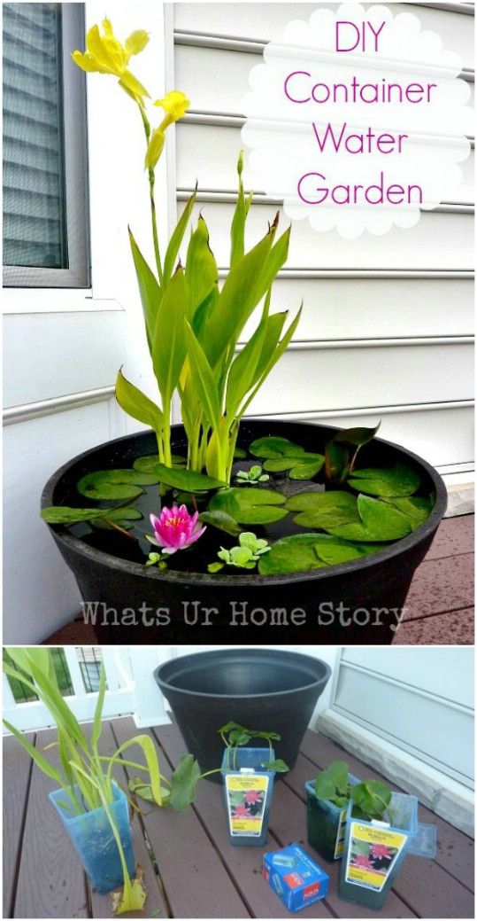 a potted plant with water lilies in it and the words diy container water garden