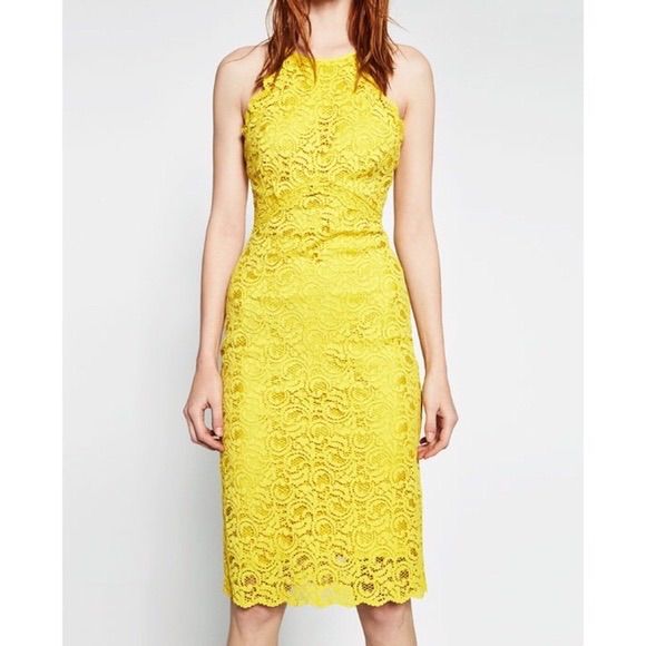 Gorgeous Mustard Yellow Lace High Neck Midi Length Dress Lined And Has Back Zip Closure Never Worn Size Medium Pit To Pit: 16" Length: 41" Waist: 14" Approx Laying Flat Zara Woman Dress, Zara Midi Dress, Zara Mini Dress, High Neck Midi Dress, Yellow Midi Dress, Green Mini Dress, Yellow Lace, Lace Dress Long, Red Midi Dress