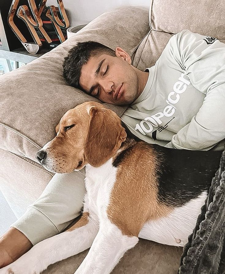 a man laying on top of a couch next to a brown and white dog with his eyes closed