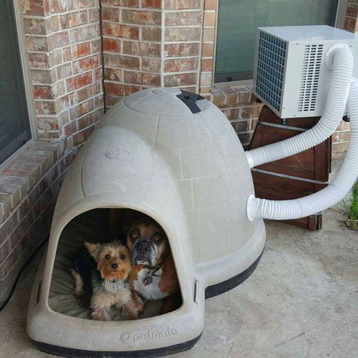 two dogs sitting in a dog house with the caption'yes that is an ac unit connected to my dog house, you are free to judge and laugh at me now