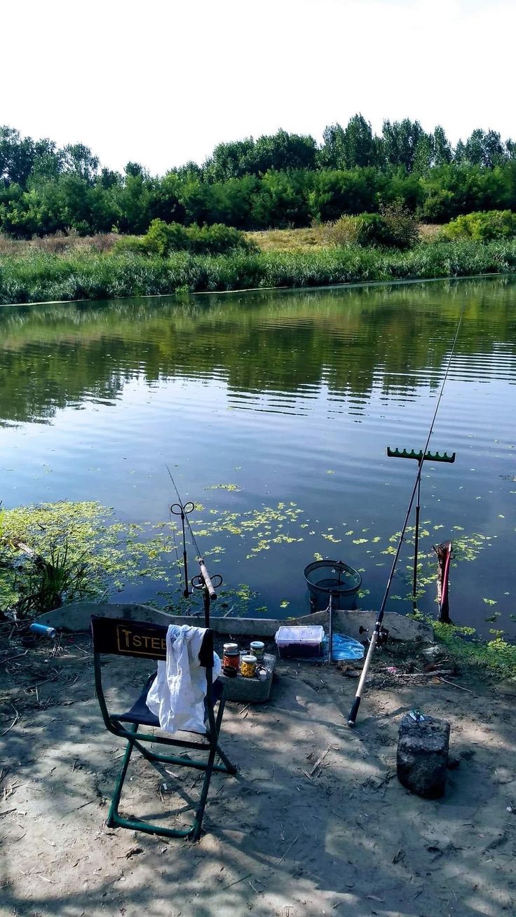 two fishing rods are next to a chair on the bank of a lake with water lillies