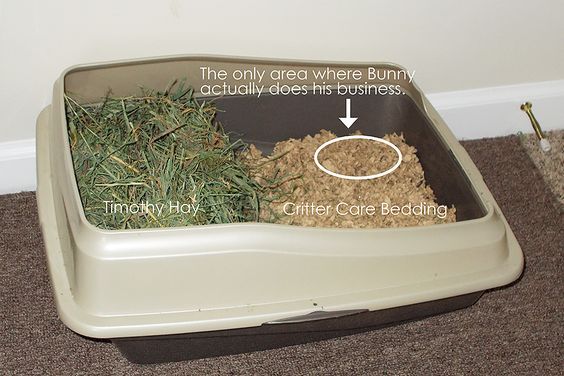 a litter box filled with grass next to a wall