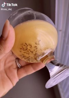 Home Remedy To Get Rid Of Gnats, Home Remedy To Get Rid Of Nats, Keep Gnats Out Of House, How To Get Ride Of Nats In The House, How To Attract And Kill Nats, How To Get Rid Of Nats In The Kitchen, Nat Traps Diy, Recipe To Get Rid Of Gnats, Homemade Gnat Spray