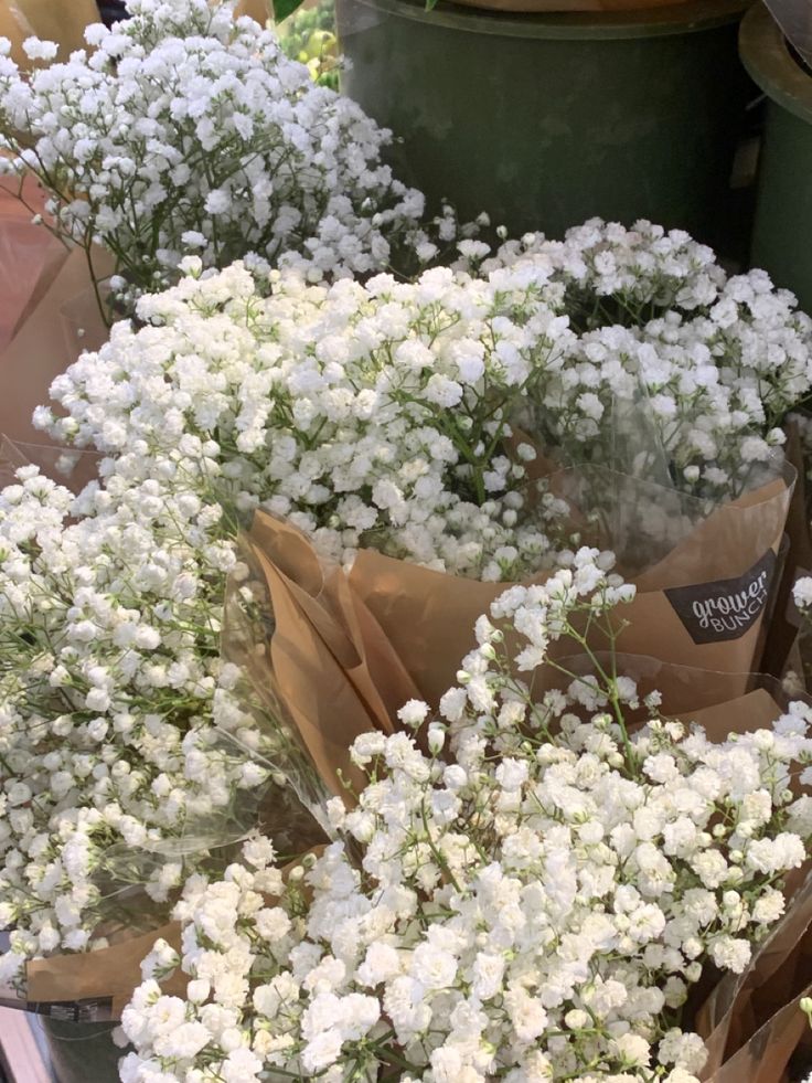 small white flowers are in brown paper bags