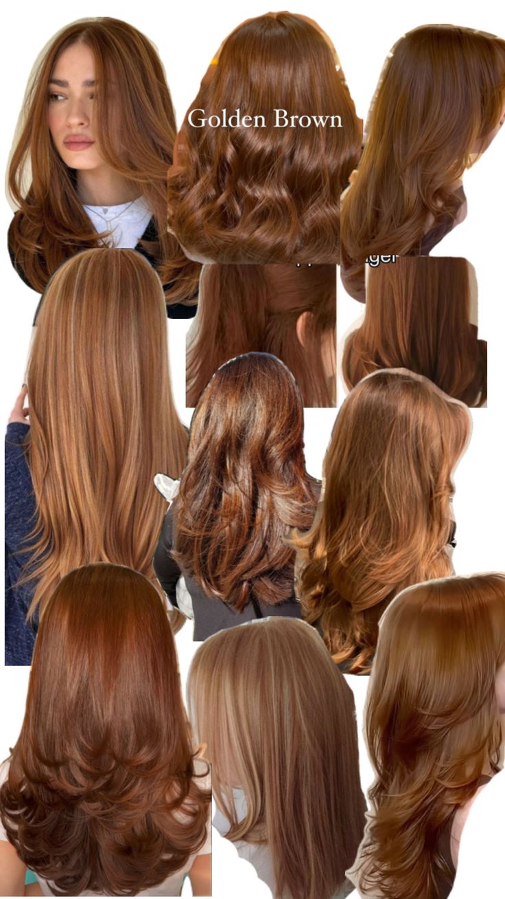 True Brown Hair Color, Honey Brown Hair With Bangs, Medium Contrast Hair Color, Cool Tone Skin Hair Color, Hair Colour For Neutral Skin Tone, Light Chocolate Brown Hair Color Caramel, Clear Spring Hair Color, Hair Color Ideas For Morena Dark Skin, Hair Color For Soft Autumn