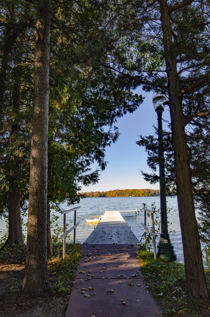 a path leading to a dock in the woods