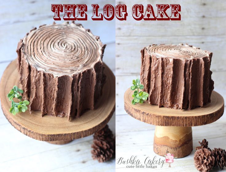 the log cake is made with chocolate frosting and green leaves on it's top