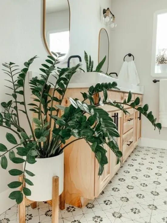 a bathroom with a plant in the middle of it and a mirror on the wall