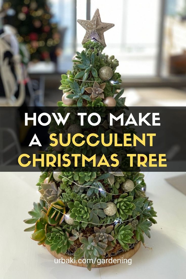 a christmas tree made out of succulents with the words how to make a succulent christmas tree