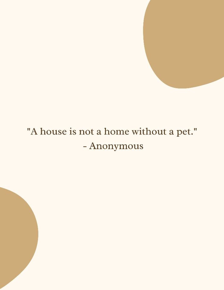 a quote that reads,'a house is not a home without a pet anonymous