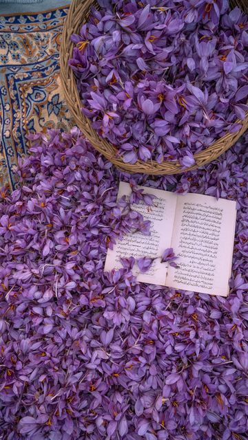 purple flowers in a basket next to an open book on a rug with persian writing