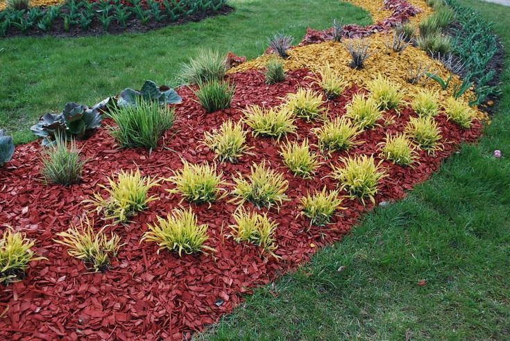 a garden with red mulchs and yellow flowers in the center, surrounded by green grass