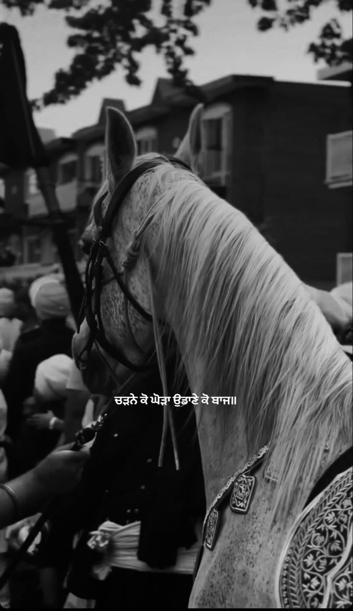 black and white photograph of a horse with people in the background looking at it's back