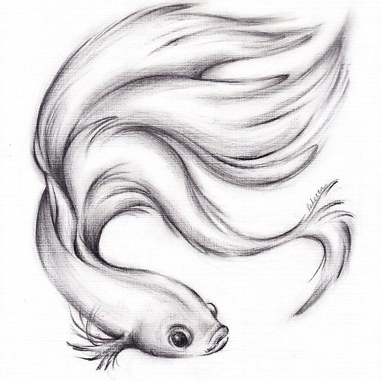 a pencil drawing of a fish with long hair