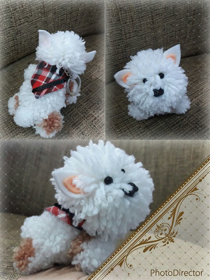 there is a small white dog with a bow tie on it's head, and four pictures of the same animal