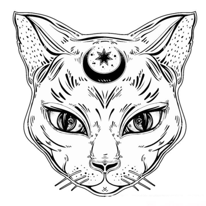 a black and white drawing of a cat's face with a clock on its forehead