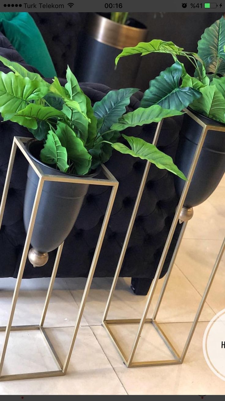 three metal planters with green plants in them on a table next to a couch