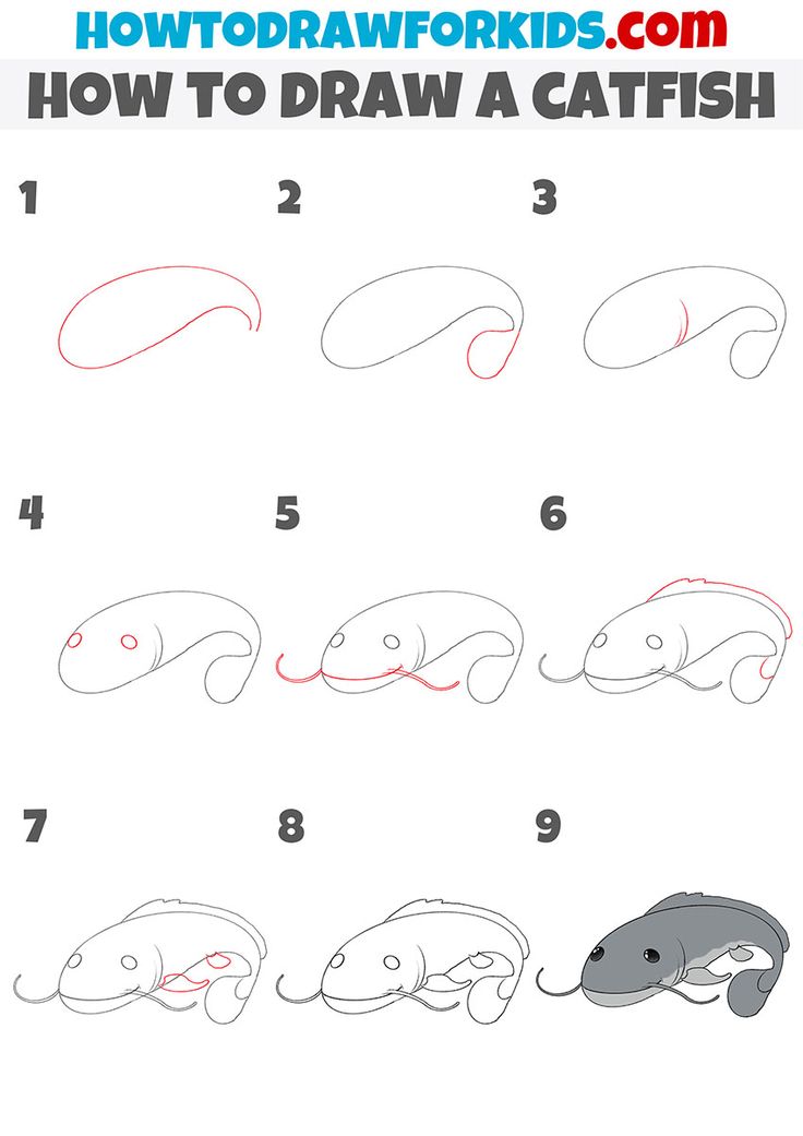 how to draw a catfish step by step instructions for children and adults in easy steps