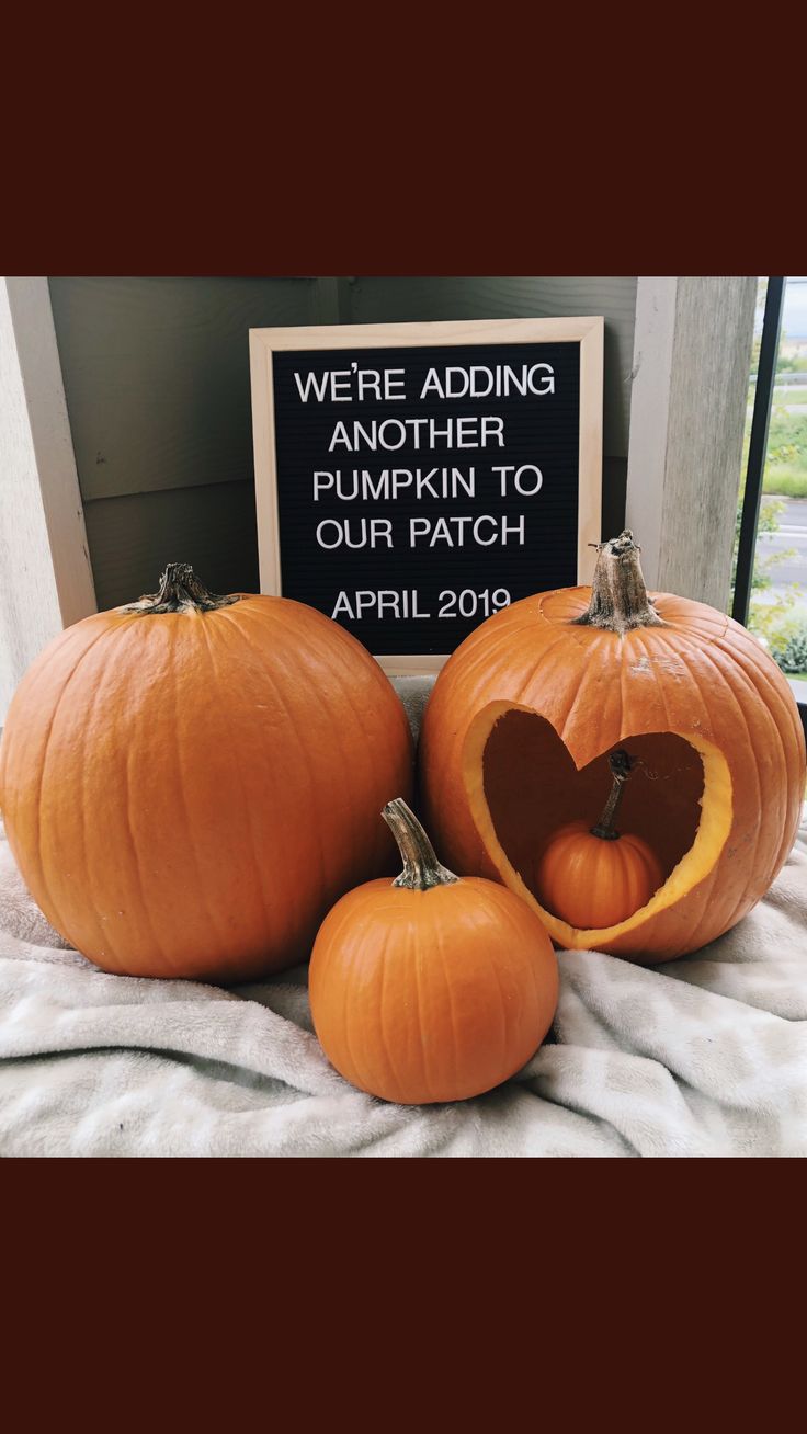 three pumpkins sitting on top of a bed next to a sign that says we're adding another pumpkin to gut patch