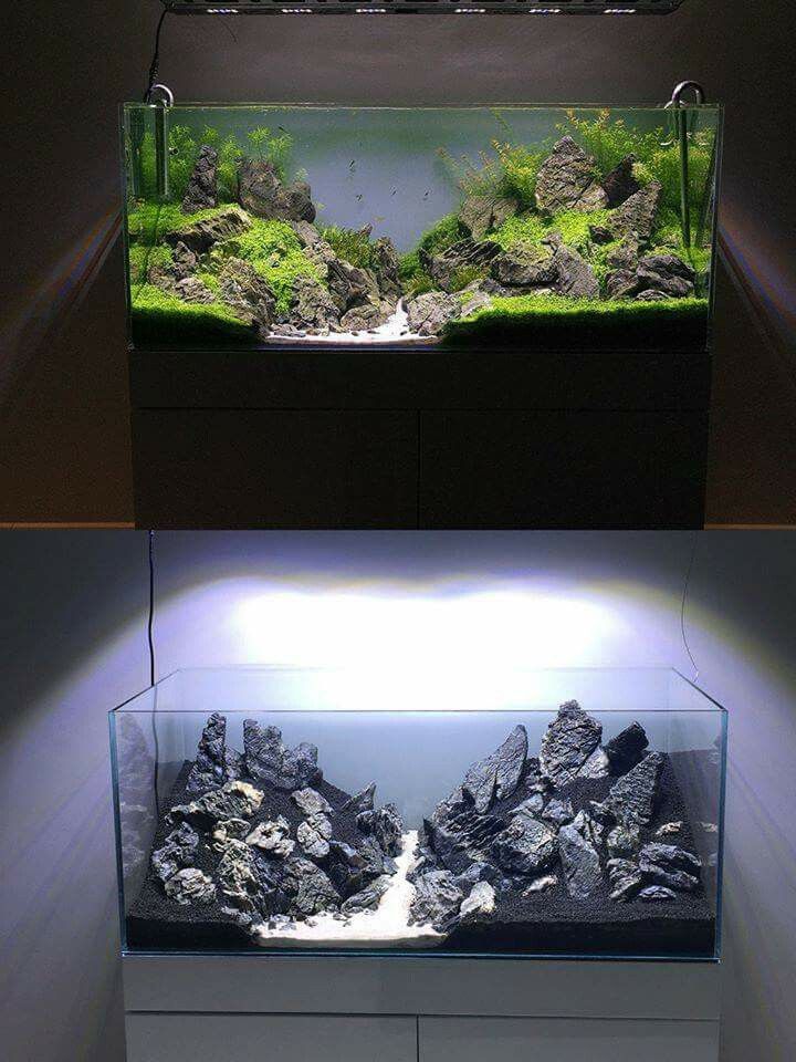 an aquarium with rocks and plants in the bottom right side is lit up at night