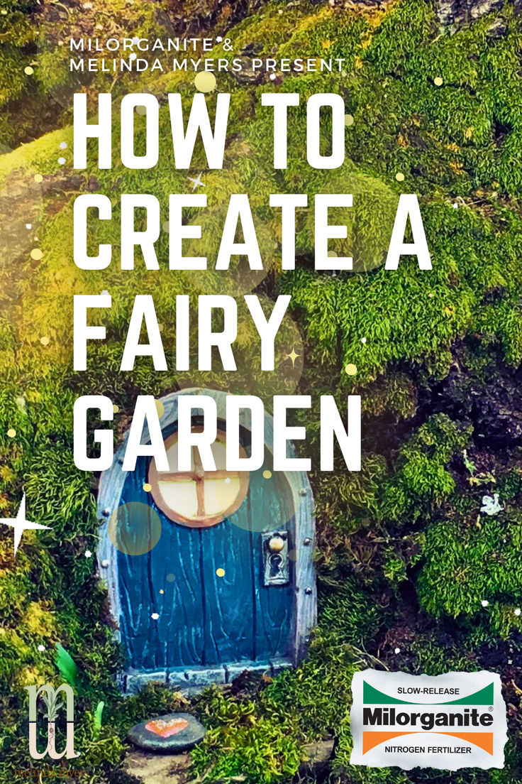 A moss garden with a door for a fairy to enter. Magical Fairy Garden, Garden Hacks Diy, Fairy Garden Ideas, Lawn Care Tips, Fairy Garden Designs, Fairy Garden Crafts, Succulent Garden Diy, Fragrant Plant, Growing Plants Indoors