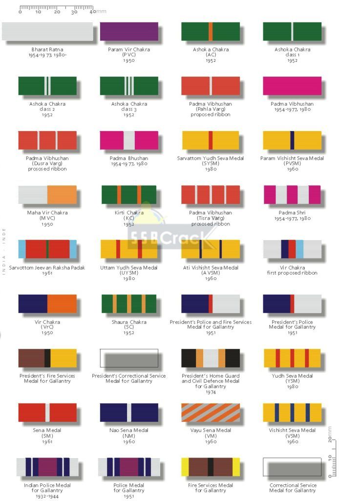 an image of different colors and sizes of ties